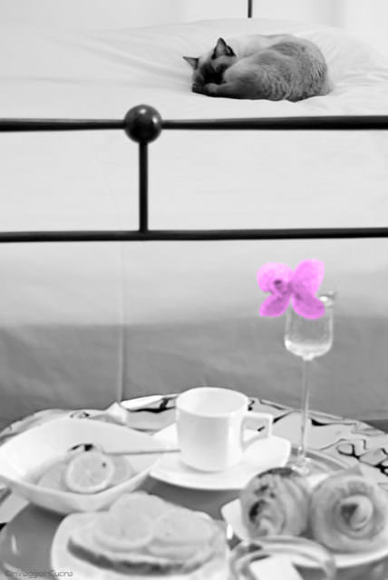 Colazione a letto con clementine Colazione a letto con clementine caramellate