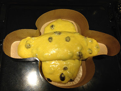 Forma colomba