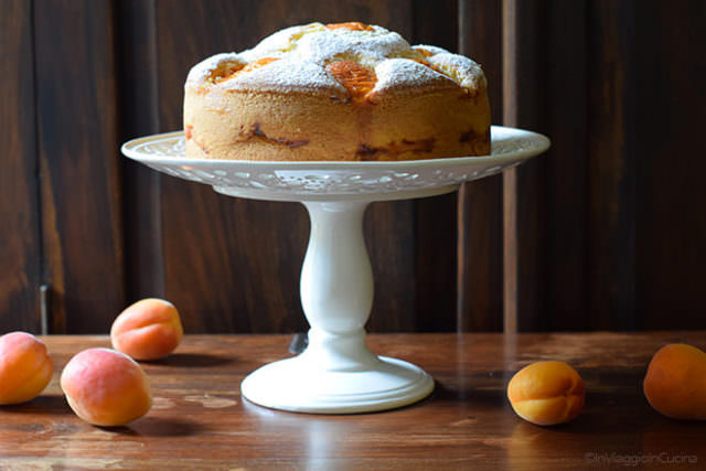 Torta di albicocche Torta di albicocche