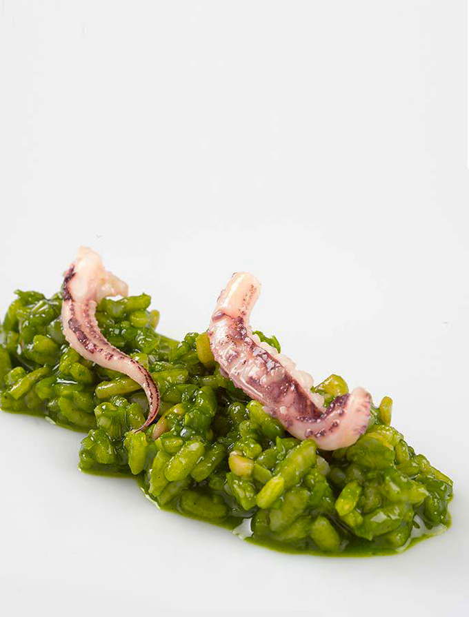 Risotto con Placton Marino e calamaro
